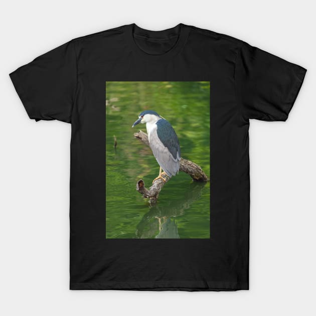 Heron with Green backdrop T-Shirt by jvnimages